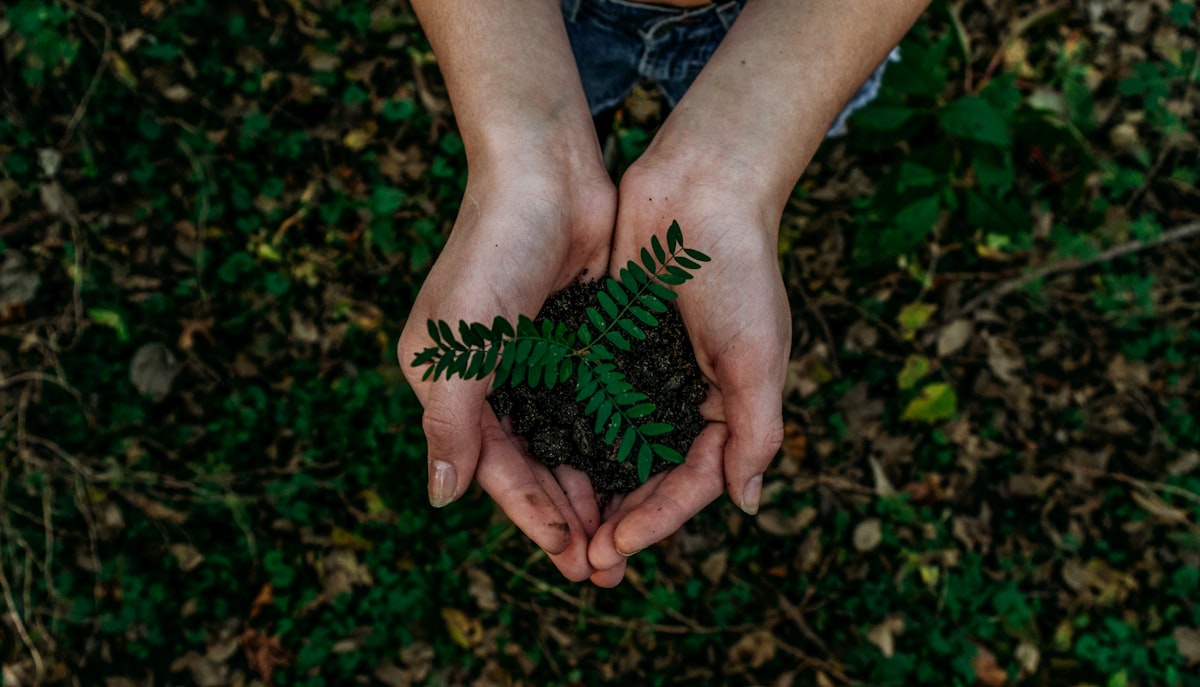 Sustainable travel practices in nature